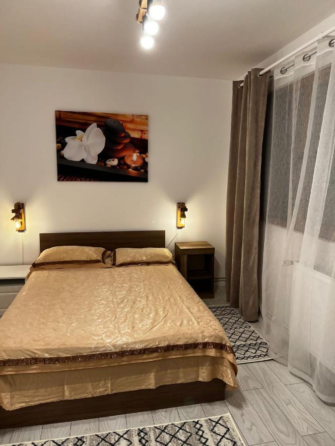 Apartament English Home 2 Camere 布拉索夫 外观 照片