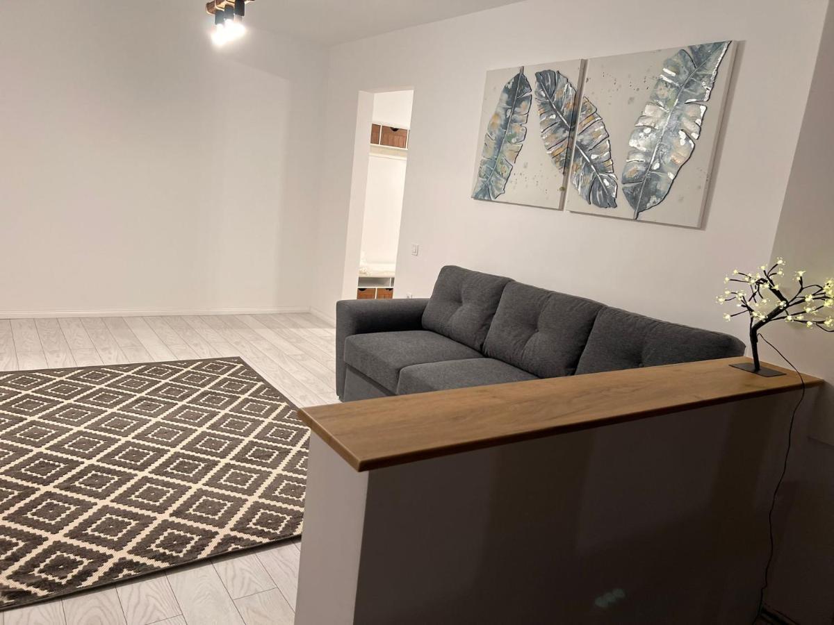 Apartament English Home 2 Camere 布拉索夫 外观 照片