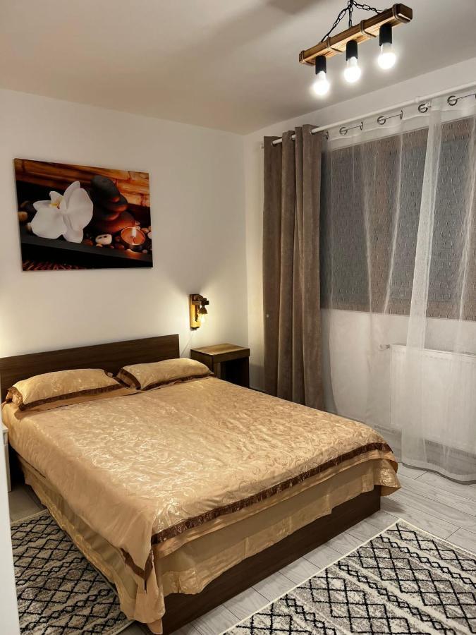 Apartament English Home 2 Camere 布拉索夫 外观 照片